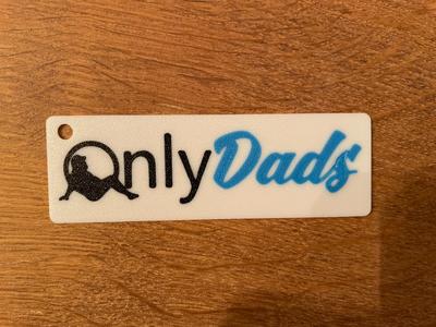 Funny Fathers Day Keychain / Only Dads / Gift Idea