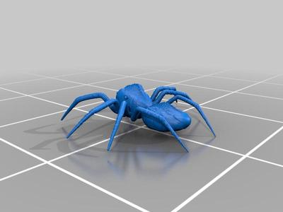 Spider