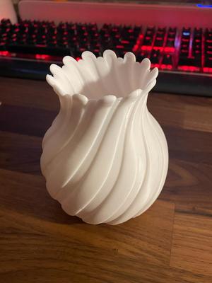 Spiral Vase Bulb