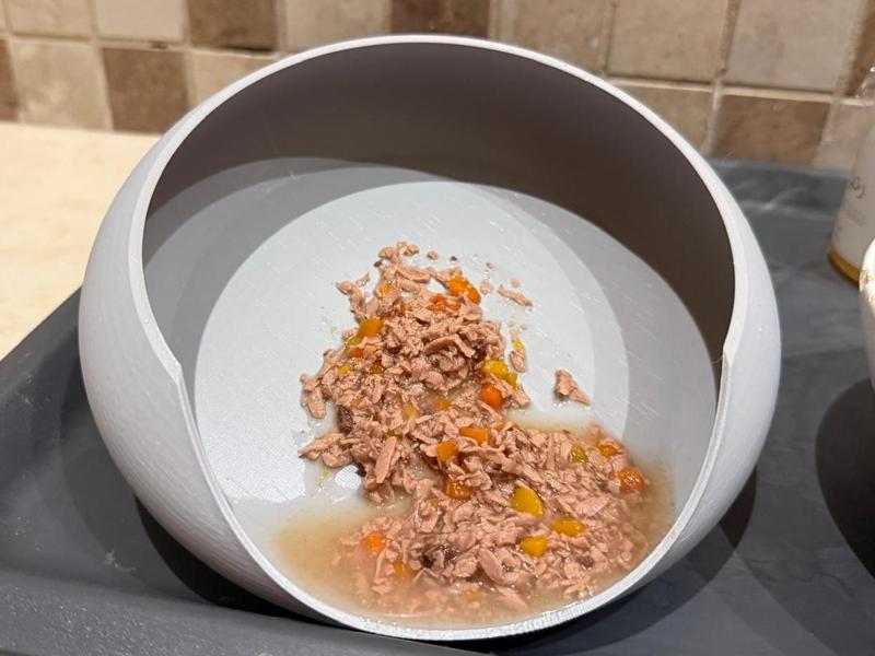 Anti-Spillage Cat Bowl 