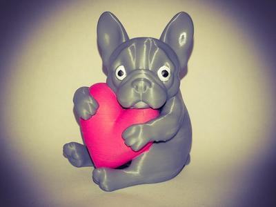Little dog with heart
