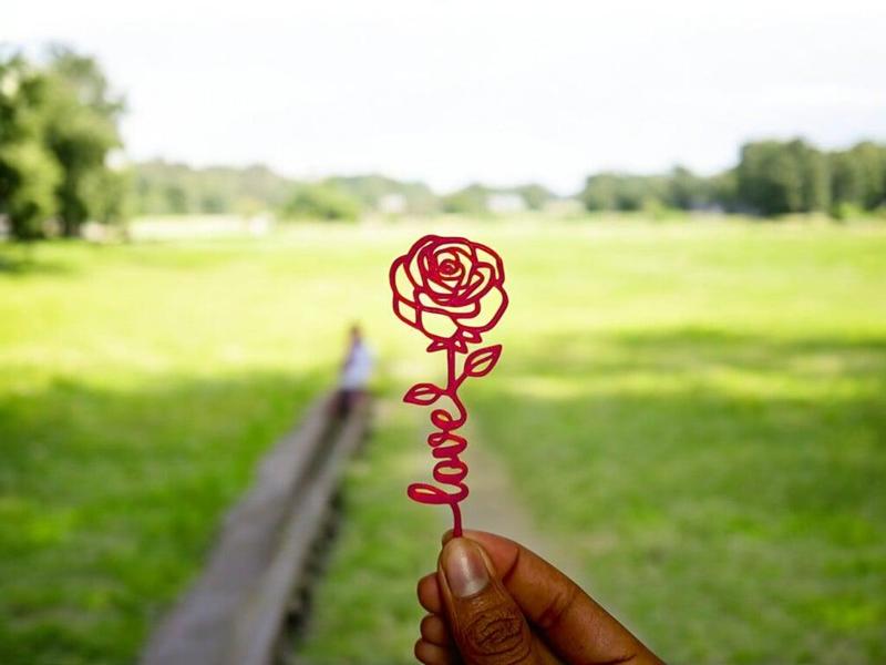 Valentine Rose of Love