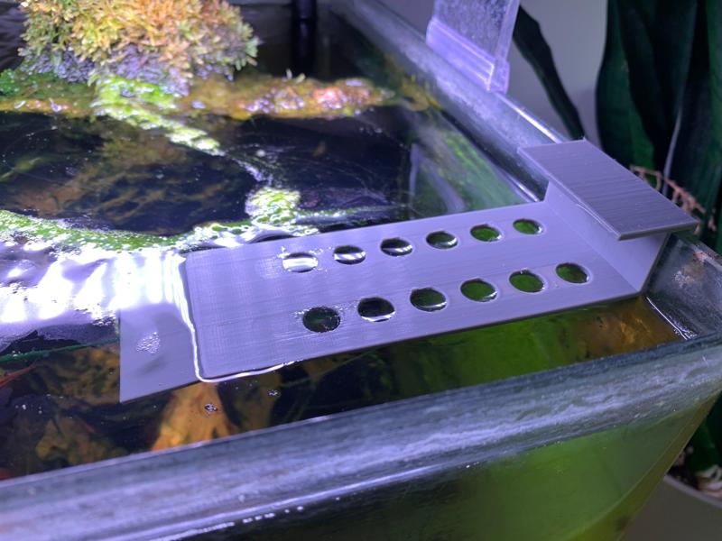 Snail Acclimatization Aid (Schneckenbalkon)