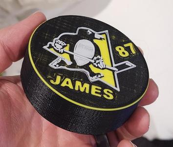 Penguins Hockey Puck - textured, official size