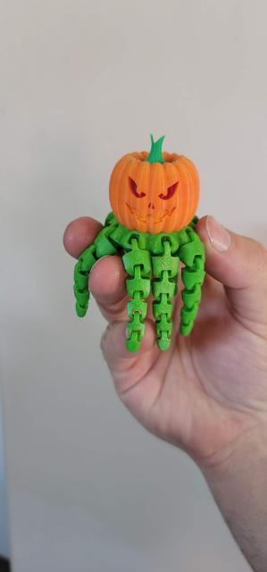 Pumpkinpus