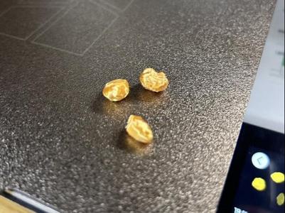 Gold Nugget