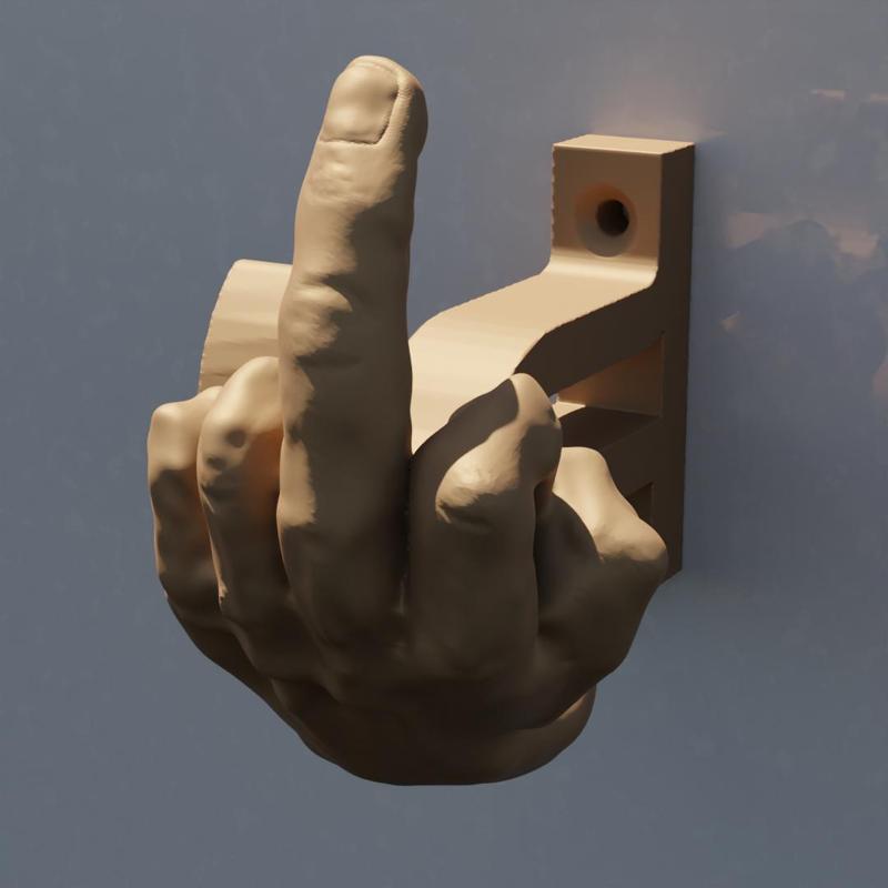 A realistic F**** hand Holder wall