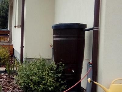 Rainwater collection system/collector