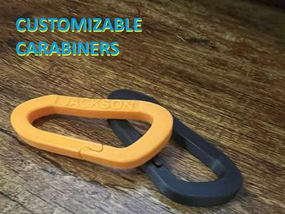 CUSTOMIZABLE CARABINERS