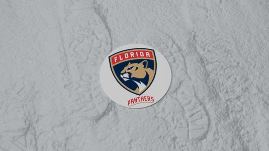 Florida Panthers Coaster