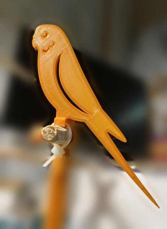 Budgerigar Silhouettes Bird Figures