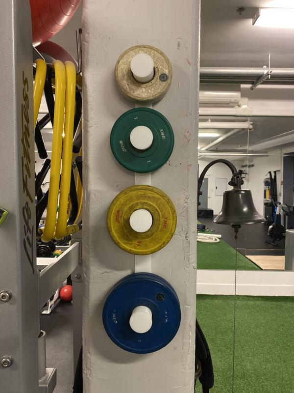 Wall mounted Change plate storage for the homegym
