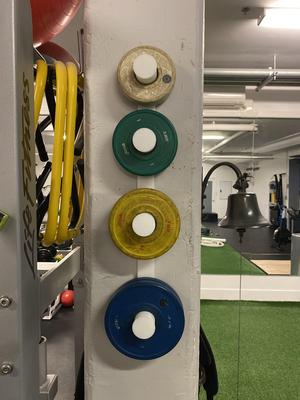 Wall mounted Change plate storage for the homegym
