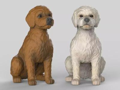 Sitting Poodle Dog