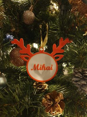 Christmas decoration (Mihai)