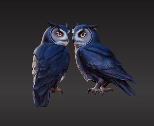 Owls