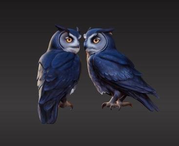 Owls