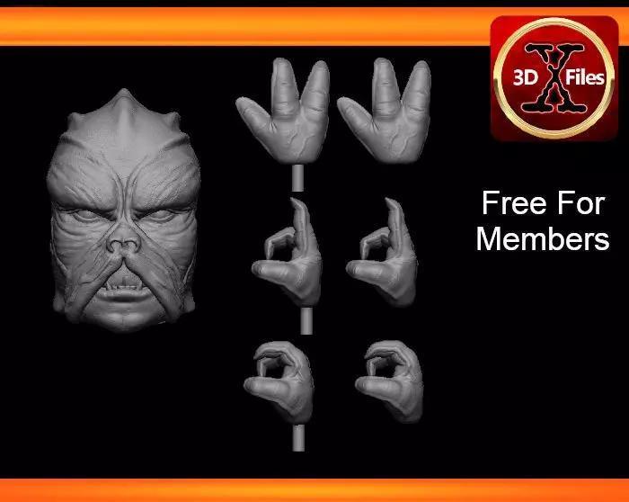 Klatoonian Headsculpt - Tarados Gon - Star wars Action Figure