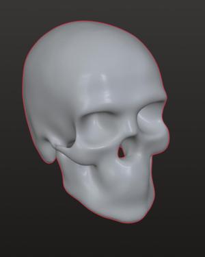 Smooth Desk Skull
