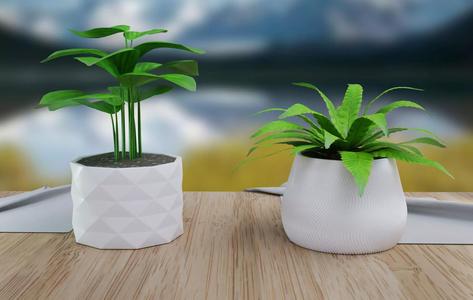 flower pots