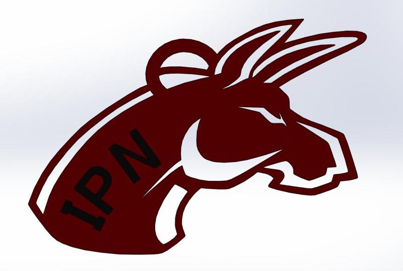 Burros Blancos Skulls