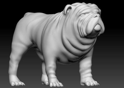 english bulldog