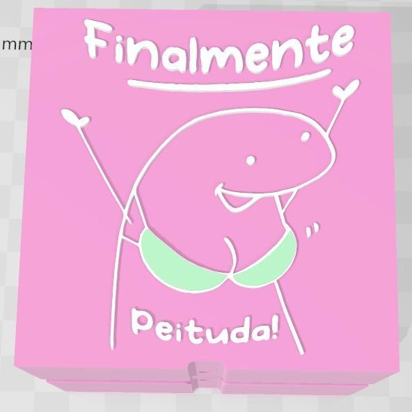 MEME FLORK VASO POTE PORTA TRECO 11 (finalmente peituda)