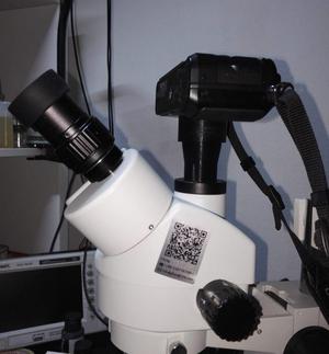 Microscope to Micro Four Thirds Adapter