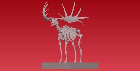 Deer bone with big horns statue - 3D print