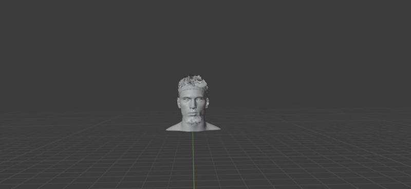 ZACH LAVINE BUST