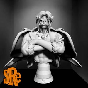 Bust goal d roger one piece