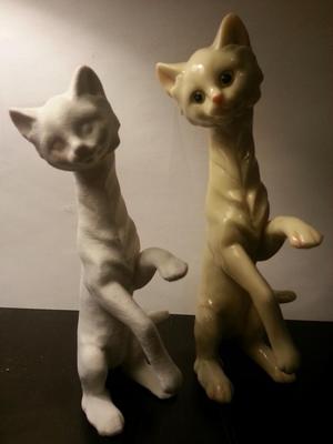 Cat Giraffe