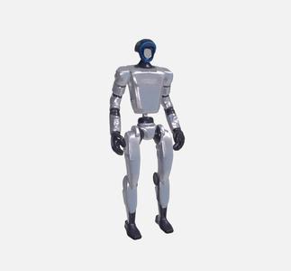 Robot Humanoid 2025