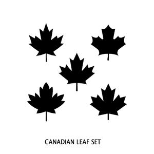 Canadian Maple Set