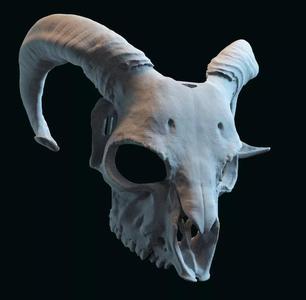 goat skull mask adapted to fit a human face