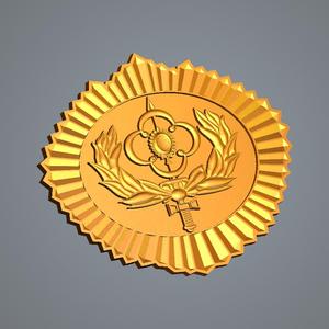 Insígnia Adjunto de Comando