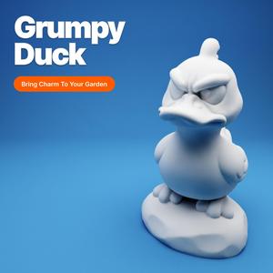 Grumpy Duck on a Rock
