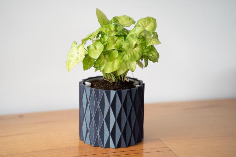 🌸 Pack of 4 Modern Bench-Top Vases with Universal Potting Insert