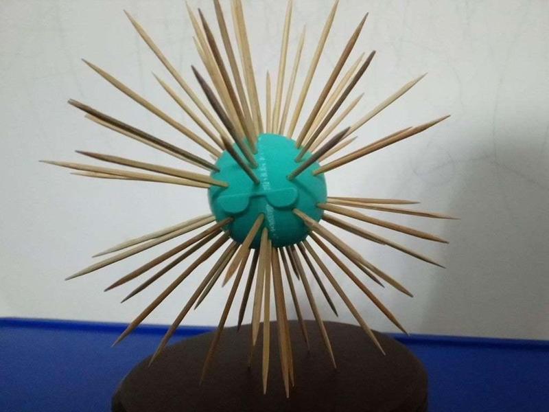 Sea urchin