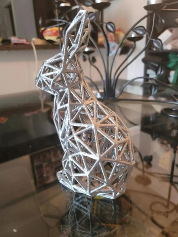 Wireframe Bunny Rabbit Model