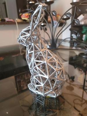 Wireframe Bunny Rabbit Model