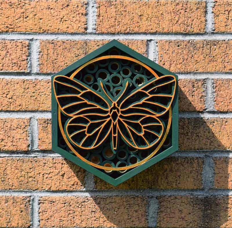 Bug box with a butterfly front