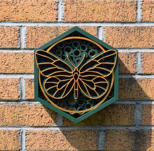 Bug box with a butterfly front