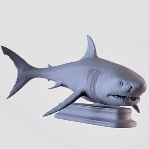 White Shark