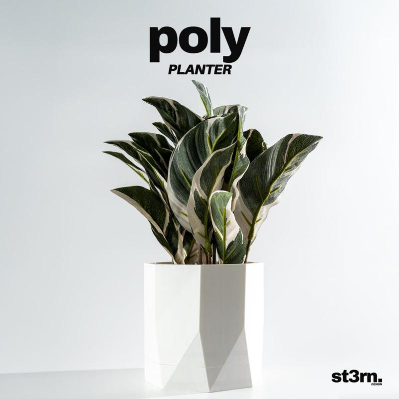 poly ⬝ PLANTER