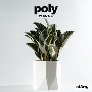 poly ⬝ PLANTER