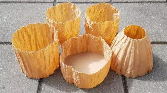 Oak Pine and Birch Tree Textures For Functional Decorative Items