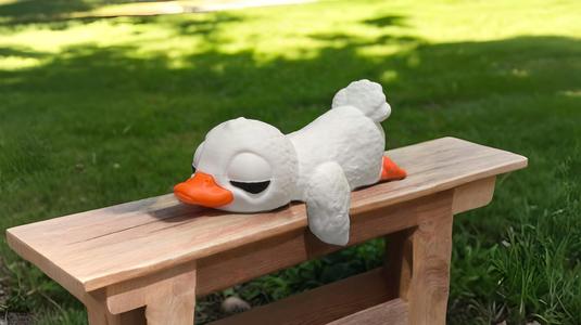 Sleeping Duck On A Shelf
