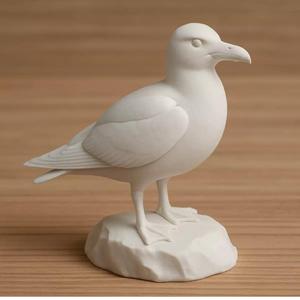 Seagull On Rock
