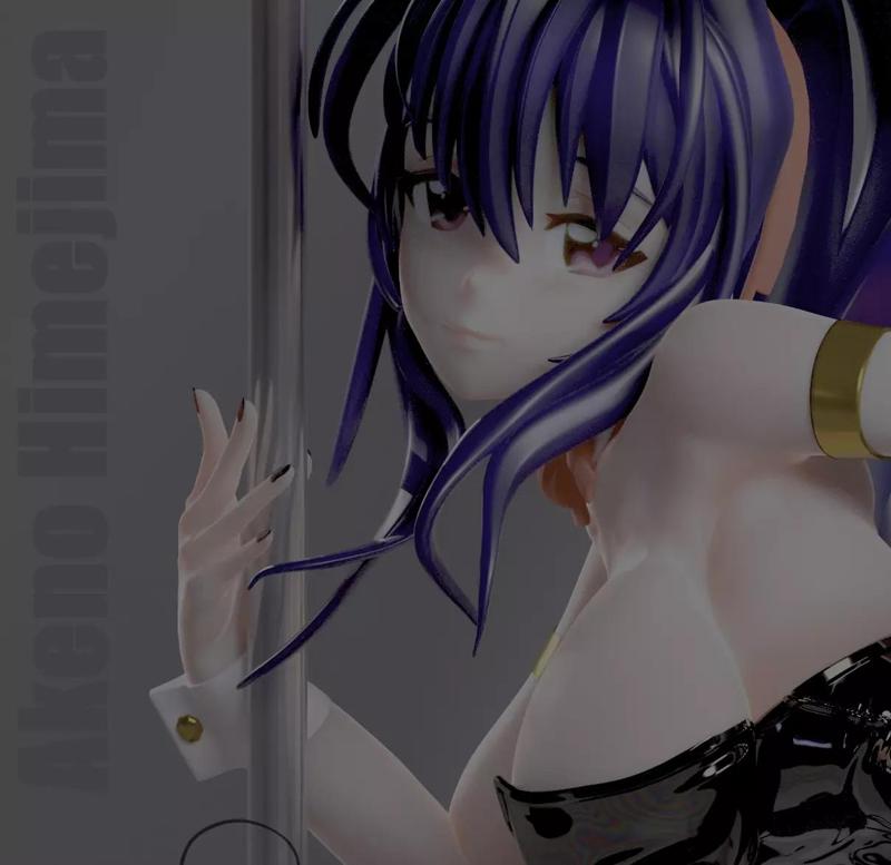 Akeno Himejima Bunny Ver